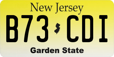 NJ license plate B73CDI