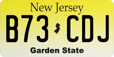 NJ license plate B73CDJ