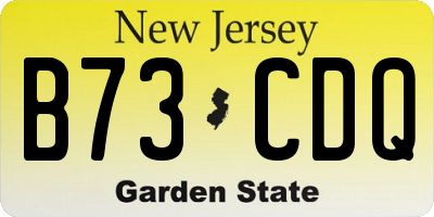 NJ license plate B73CDQ