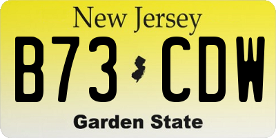 NJ license plate B73CDW