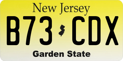 NJ license plate B73CDX