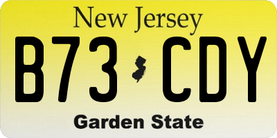 NJ license plate B73CDY