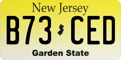 NJ license plate B73CED
