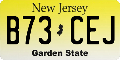 NJ license plate B73CEJ