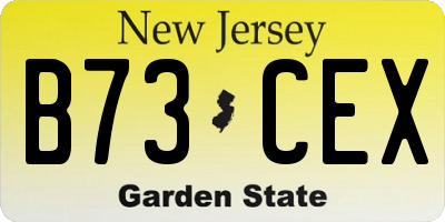 NJ license plate B73CEX