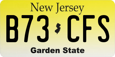 NJ license plate B73CFS