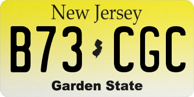 NJ license plate B73CGC