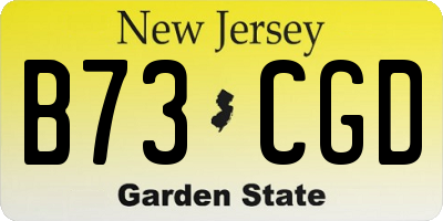 NJ license plate B73CGD