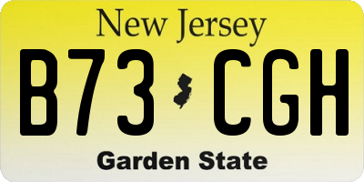 NJ license plate B73CGH