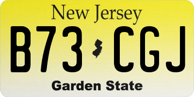 NJ license plate B73CGJ
