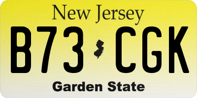 NJ license plate B73CGK