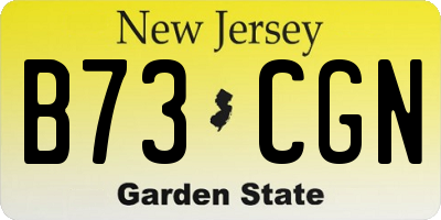 NJ license plate B73CGN