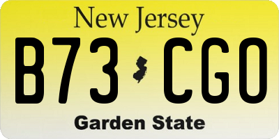 NJ license plate B73CGO