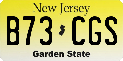 NJ license plate B73CGS