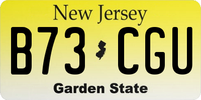 NJ license plate B73CGU