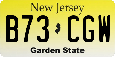 NJ license plate B73CGW