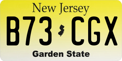 NJ license plate B73CGX