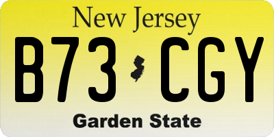 NJ license plate B73CGY