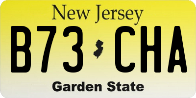 NJ license plate B73CHA