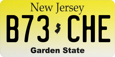 NJ license plate B73CHE