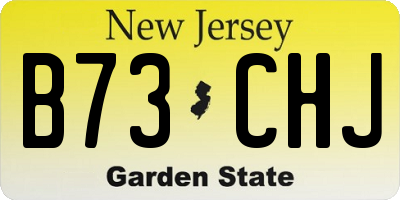 NJ license plate B73CHJ