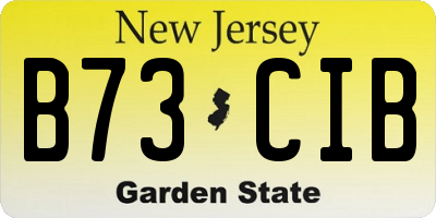 NJ license plate B73CIB