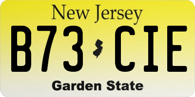 NJ license plate B73CIE