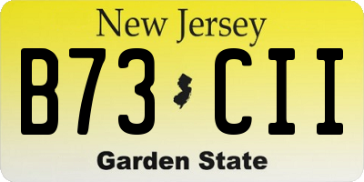 NJ license plate B73CII
