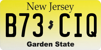 NJ license plate B73CIQ