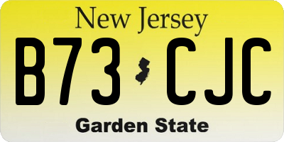 NJ license plate B73CJC