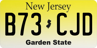 NJ license plate B73CJD