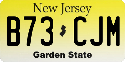 NJ license plate B73CJM