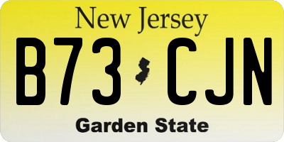 NJ license plate B73CJN