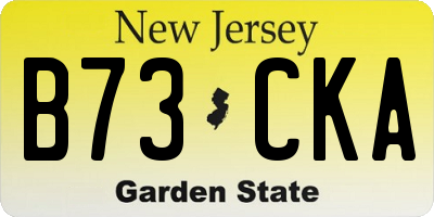 NJ license plate B73CKA