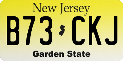 NJ license plate B73CKJ