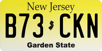 NJ license plate B73CKN