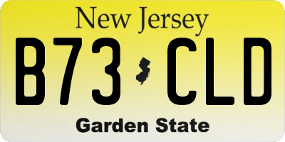 NJ license plate B73CLD