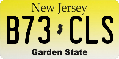 NJ license plate B73CLS