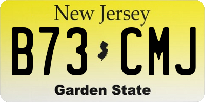 NJ license plate B73CMJ