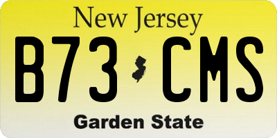 NJ license plate B73CMS