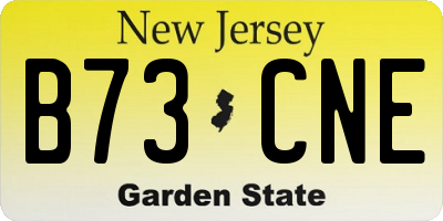 NJ license plate B73CNE