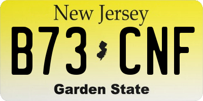 NJ license plate B73CNF