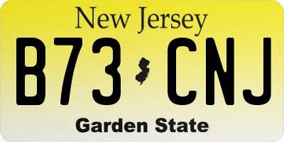 NJ license plate B73CNJ