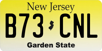 NJ license plate B73CNL