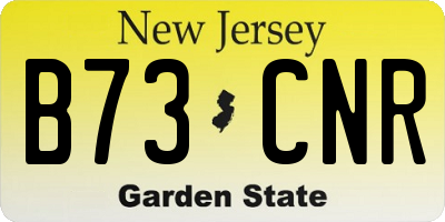 NJ license plate B73CNR