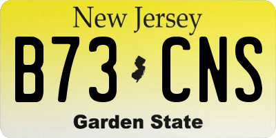 NJ license plate B73CNS