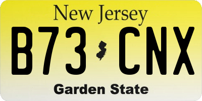 NJ license plate B73CNX