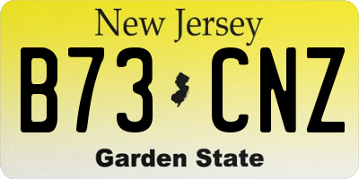 NJ license plate B73CNZ