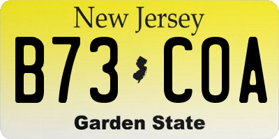 NJ license plate B73COA