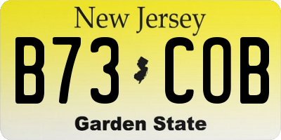 NJ license plate B73COB